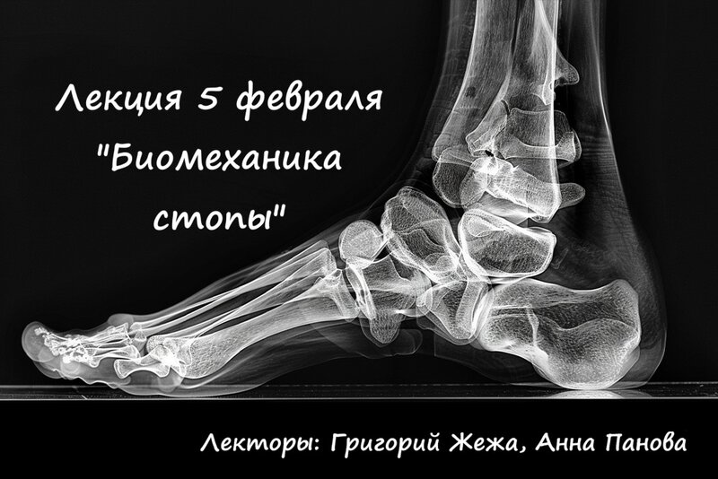 ж1.jpg (221.75 КБ) Просмотров: 3046 ж1.jpg