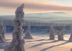 Утренний туман от нашего костра Утренний туман от нашего костра