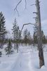 Буранный след