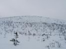 Спуск с в. Медвежья Тундра