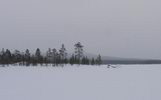 Виды