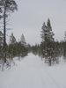 Буранка от оз. В. Волчье