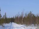 Буранка на оз. Пагель