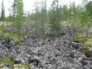 В дороге В дороге