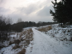 02.01.2008. Лесная дорога Демешкино - Селиваново