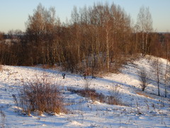 04.01.2008. Спуск к оз. Лобно.