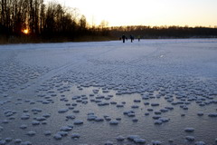 06.01.2008. Около восточного берега оз. Великая Вода.