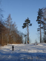06.01.2008. Начало лесной дороги от Мошково-1 к Подчерняево.